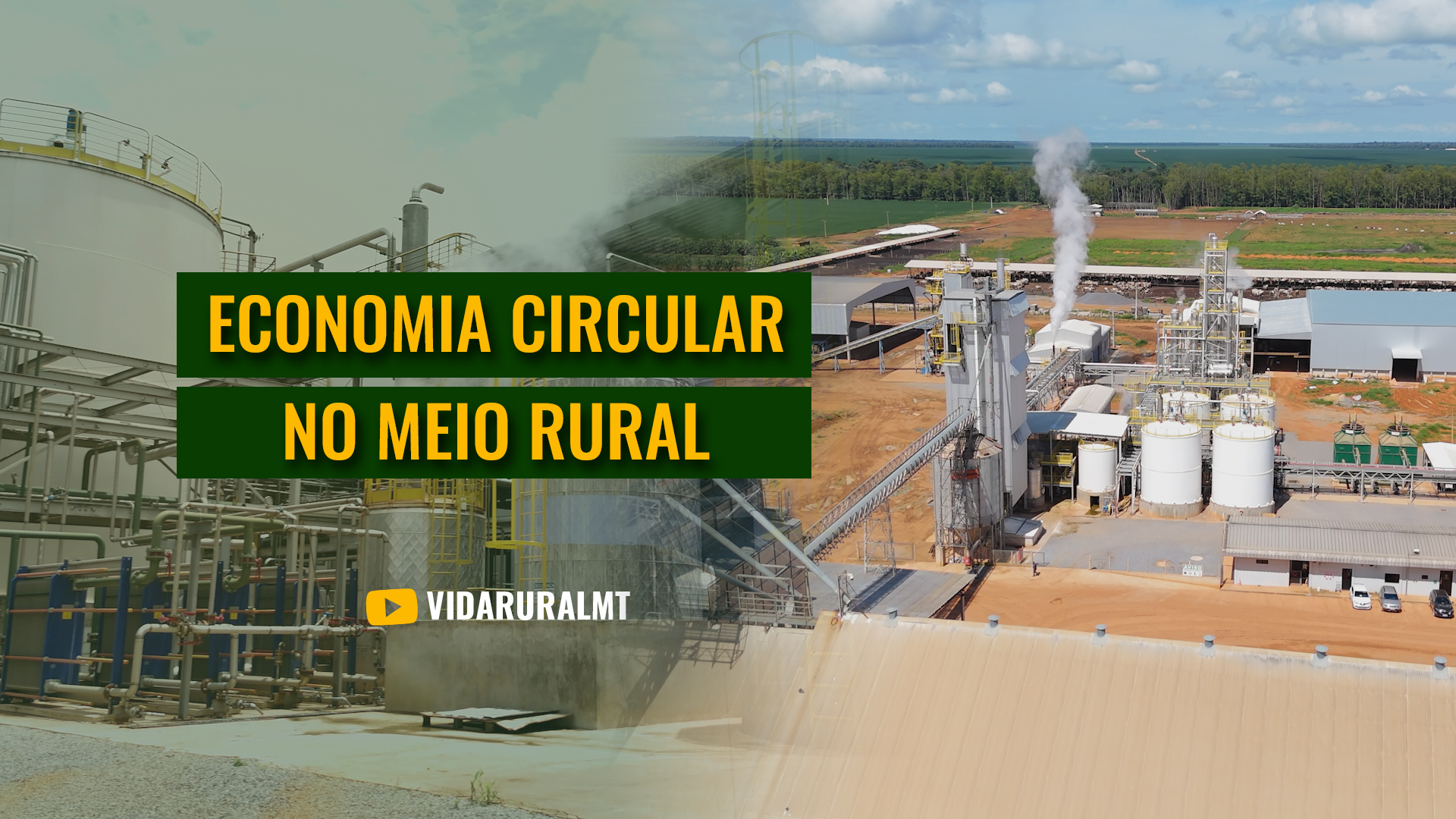 ECONOMIA CIRCULAR NO MEIO RURAL DIVERSIFICA A PRODUÇÃO